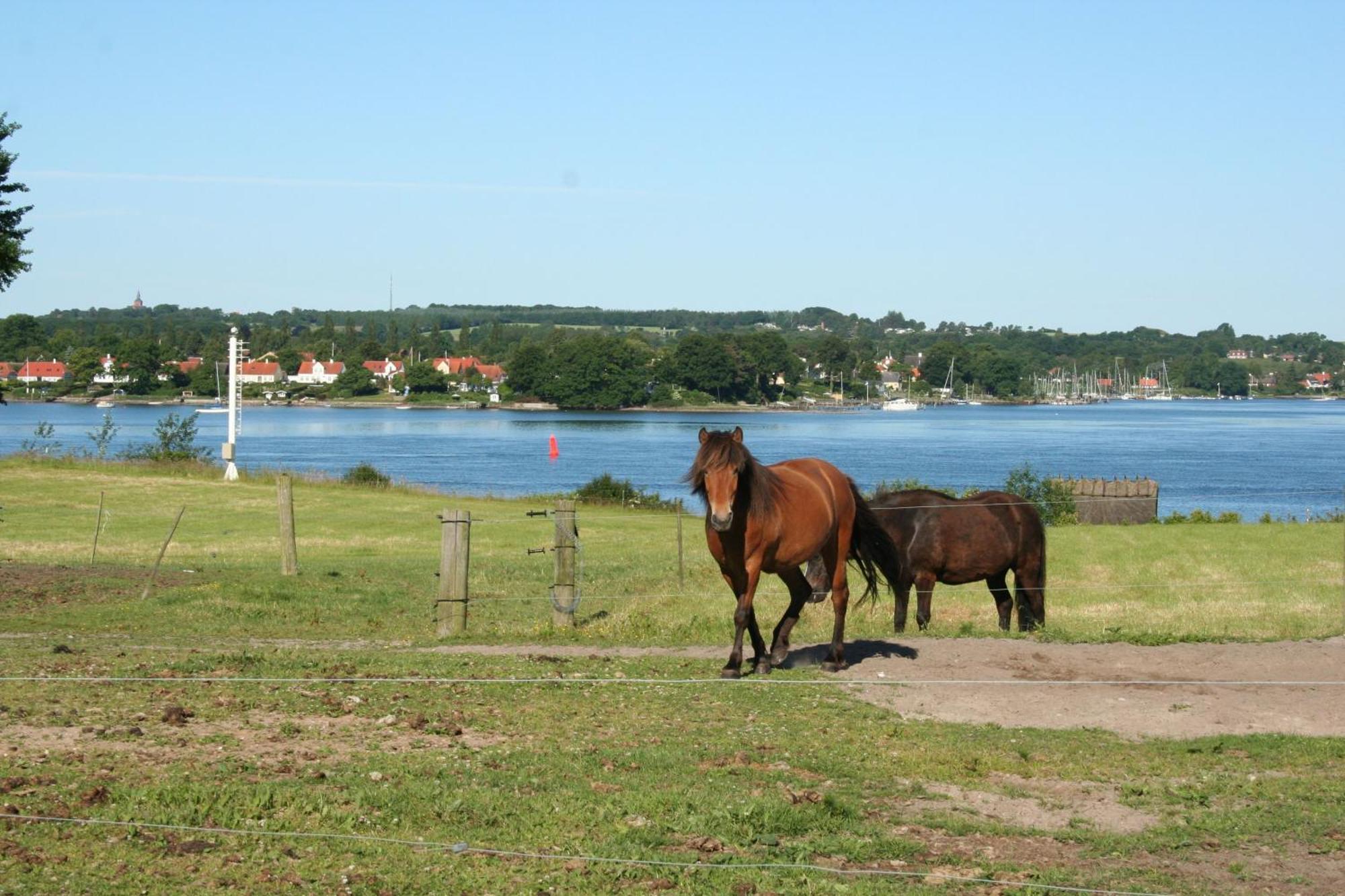 Grastenhus Guesthouse Thurø By Exteriör bild